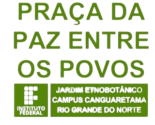 Icon Text